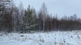 ОХОТА НА ЗАЙЦА С ПОДХОДА