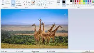 Create a simple slideshow using JavaScript code