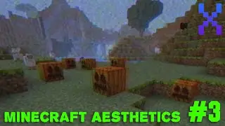 Minecraft Aesthetic - #3 (Mine Game X)