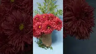 Сад хризантем