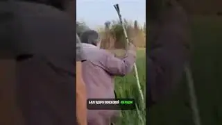 Свердловской области волонтеры спасли заблудившуюся пенсионерку Зинаиду Васильевну