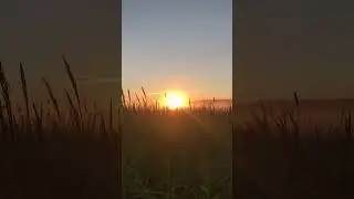 Послушай меня, мой цветок.