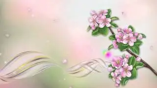 футаж