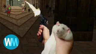 Top 5 Rats