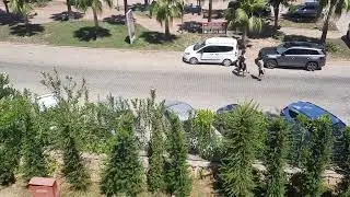 Justiniano Club Park Conti, 15.08.24, вид у входа в номер.