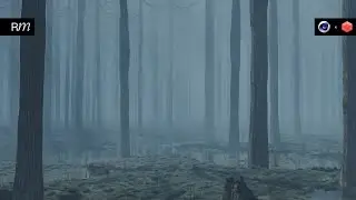 How to Create a Foggy Forest in Cinema 4D and Redshift