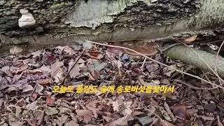 2024년 12월 16일