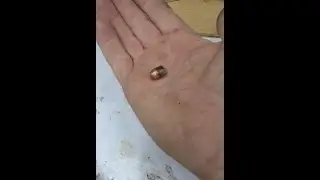 Вот такая машина приехала с Мариуполя 