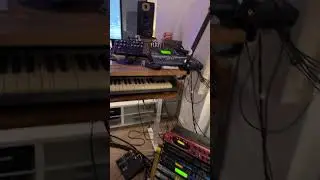 🔥 20-Second Synth & Bass Groove! 🎹🎸 | 