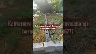kaliforniya qizil yomgir chuvalchangi beznesi