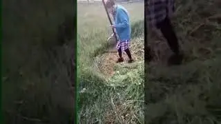 95 саастаах далбар хотун от охсор