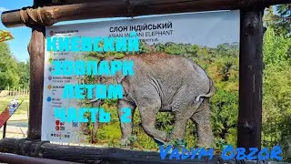 Киевский зоопарк летом часть 2 #зоопарк