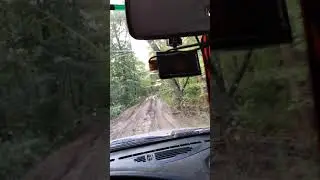 5 августа 2020 Куперля обзор