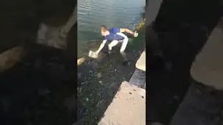 Как ловить рыбу без удочки