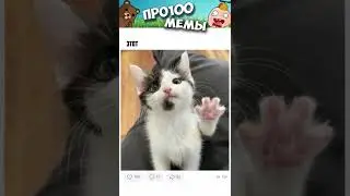 Мемы 2022 ( Тут Про100 мемы и короткие приколы с котами ) Подборка мемов 372 - Как я трачу деньги