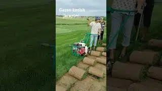 gazon kesish jarayoni tel 935757317