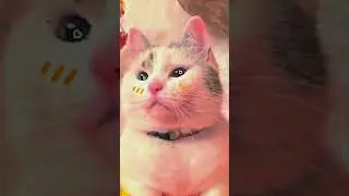 эдит Мурочке♥ 