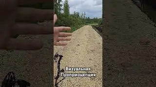 визуальная Проприоцепция или как прицеливаться по средней точке
