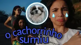 O cachorrinho sumiu !!😭