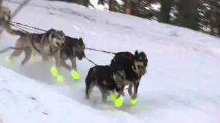 Iditarod 2011-Corral Hill--Ed Stielstra