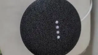 Google vs Alexa: Do you ever take a nap? 😴💤
