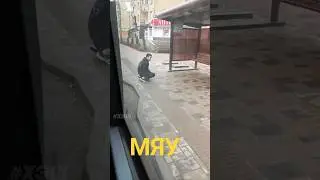 ПРИШЛА ВЕСНА СОЛЕВЫЕ  