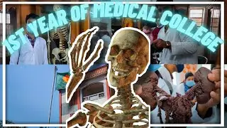 First Day Of MBBS Students Studying For Anatomy Exams | Fun Vlog