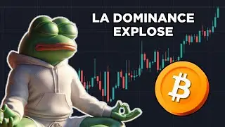 LA DOMINANCE DE BITCOIN EXPLOSE 💥 - DEFI ACTUS (03/11/2024)
