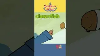 What starts with the letter C? 