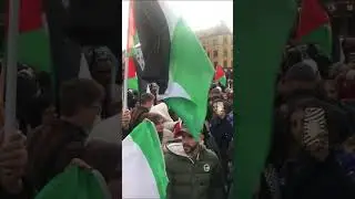 Protest against israeli oppression on Palestinians 🇵🇸 in Gaza II 