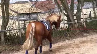 wir fliegen hoch ♥