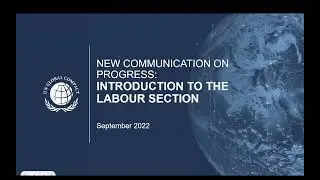 Communication on Progress: Introduction to the Labour section [English]