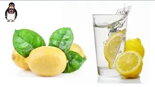 Как правильно пить воду с лимоном, и чем она полезна