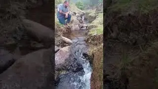 orando por San Carlos