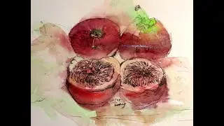 Ficus carica