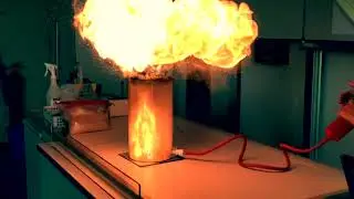 Experimentieren am PMG