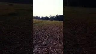 # SHORT VIDEO | MY VILLAGE.  💯#shorts #viral #support