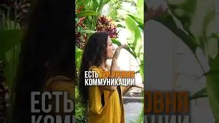 Три уровня коммуникации #психология #коммуникация #коммуникациявотношениях