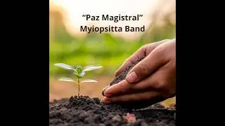 “Paz Magistral” - Forró - #positividade #reflexão