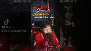 เจ้าดอกจำปา cover by Ball Oldmusic 