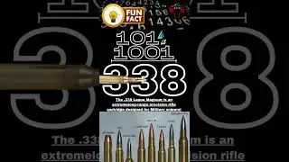338 - 101 to a 1001 Fun Facts! 