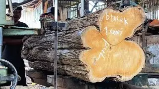 The charm of a very beautiful large teak wood