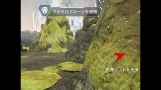 감지됨!