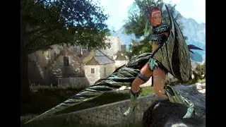 BDO Valkyrie . Валькирия Наследие (традиция). 279 ап кутум.