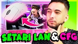 CE SETARI ISI FAC JUCATORII PRO PE LAN ? ( IM, LAUNX, BLYTZ )