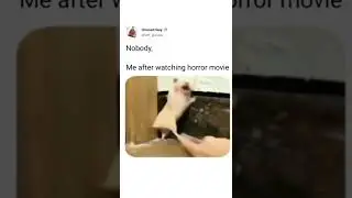 🤣🤣🤣#shorts #reels #funboy #funny_video #real_life #funny_video_animal