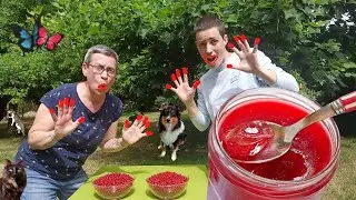 🌺 CURRANT BERRY ⎮JAM CURRANT 🌺