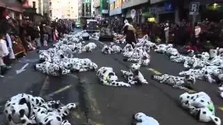 101 Dalmatas - Grupo -Carnaval Pontevedra 2015