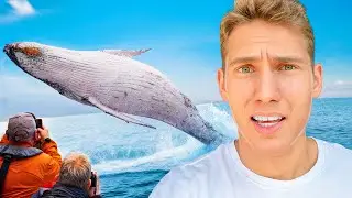 The craziest animals of all time!