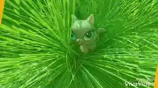 LPS на даче